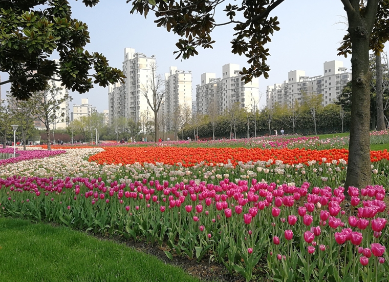 山西省大宁县应急广播系统建设项目